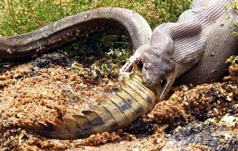 Odd, Bizarre, And Incredibly Weird News Stories From Around The World.